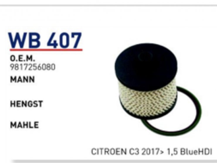 WB407 9817256080 PEU EXPERT CIT. JUMPY 2.0 19+ MAZOT FİLTRESİ