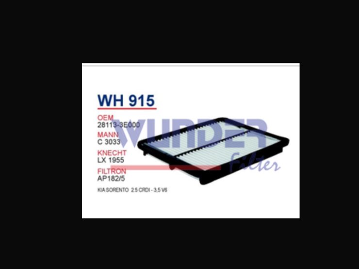 WH 915 KiA SORENTO 28113-3E000 Hava Filtresi